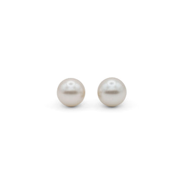 Aretes Perla Clásica